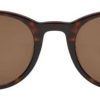 Solbriller Nyt Syn | Prego Ponza Tortoise Marrone