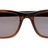 Solbriller Nyt Syn | Inface If9871 Brown Medium Transparent