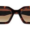 Solbriller Nyt Syn | Prodesign Malachite Havana (Brown) Medium Demi